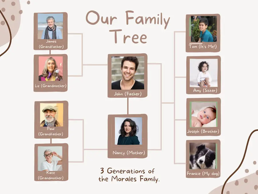 Family Tree Illustration