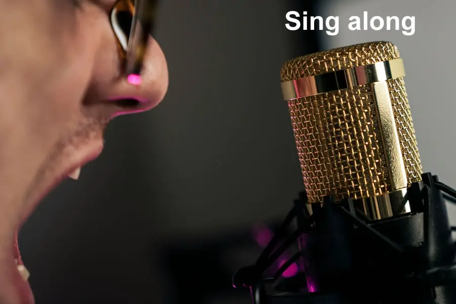 Identifying Words in Songs - A song Lesson Plan