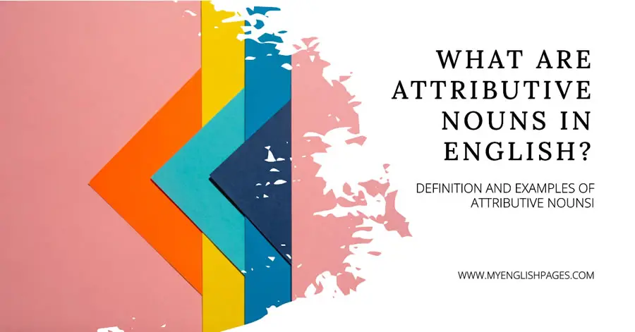 Definition and Examples of Attributive Nouns