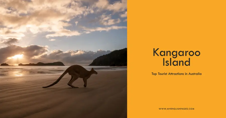 Kangaroo Island Australia