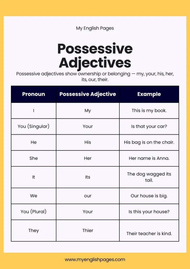 Possessive Adjectives in English