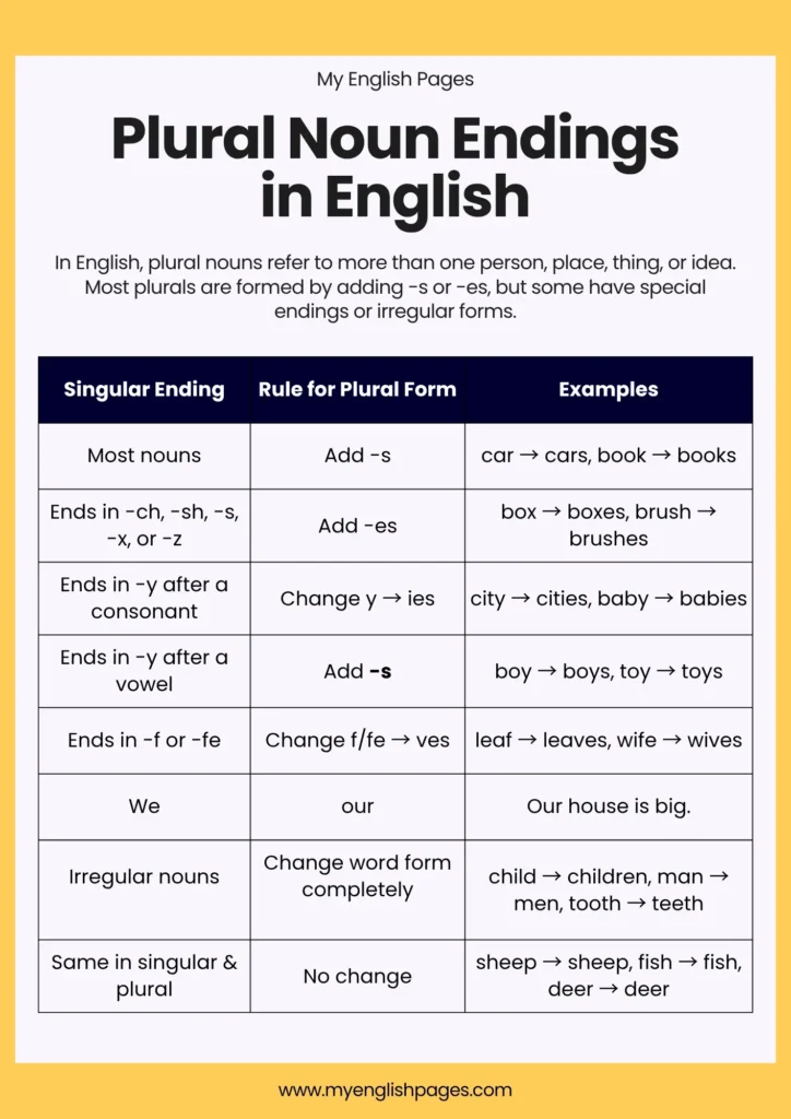 Table showing common plural endings in English with examples: -s (car–cars), -es (bus–buses), -ies (city–cities), -ves (leaf–leaves), and irregular forms (child–children).