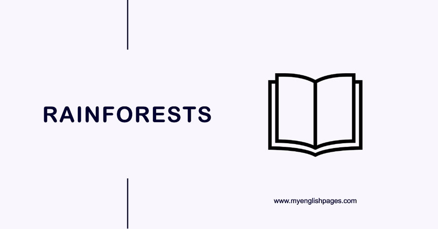 Rainforests (Reading Comprehension)
