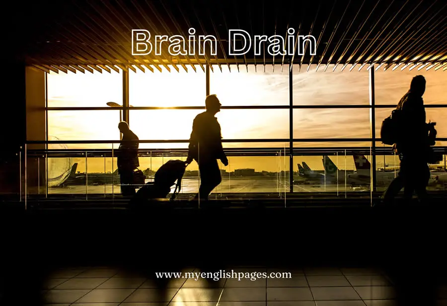 Brain Drain