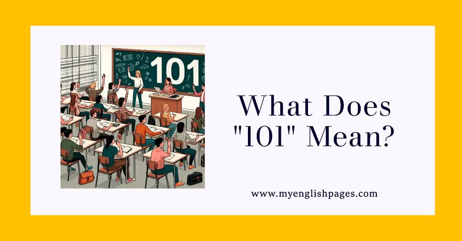 101 Meaning, Origin and Examples
