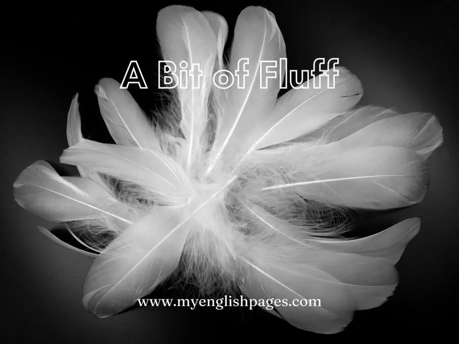 A bit of fluff idiom