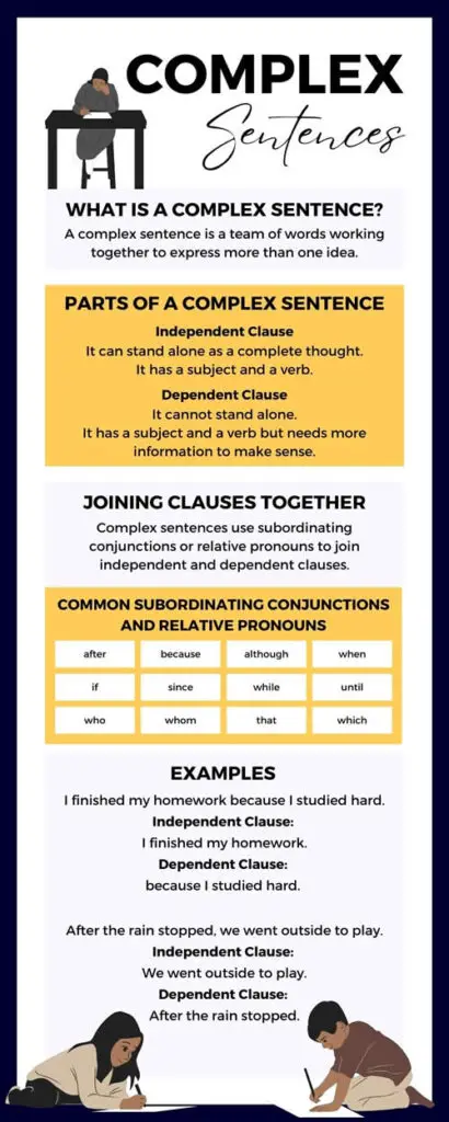 Complex Sentences English Infographic Illustration