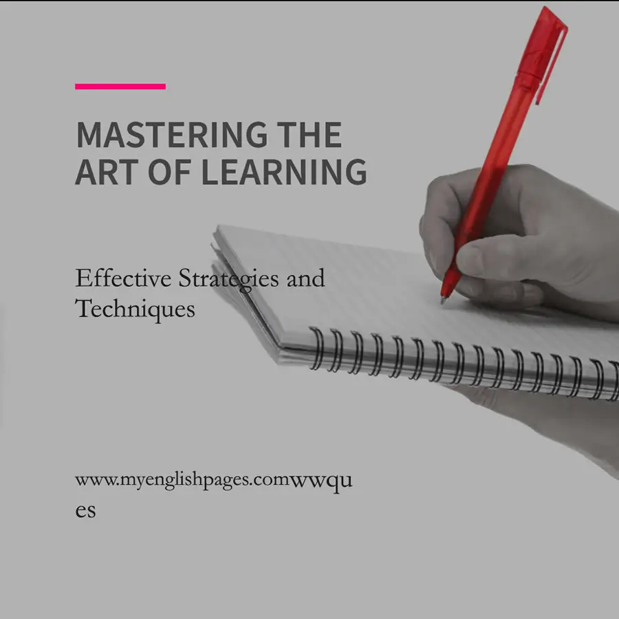 Mastering the Art of Learning to Learn