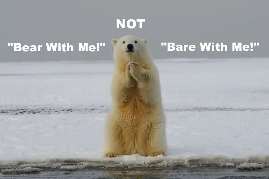 Bear With Me NOT Bare With Me