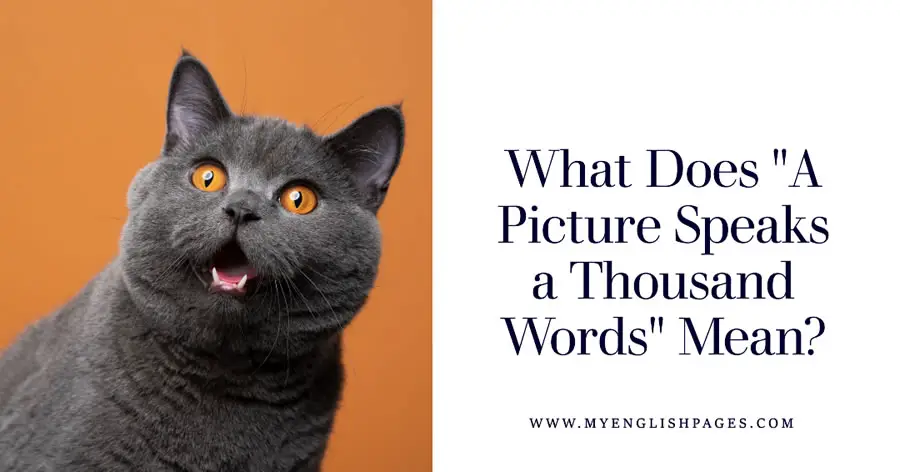 A Picture Speaks a Thousand Words