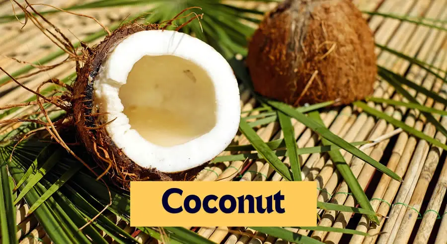 Coconut