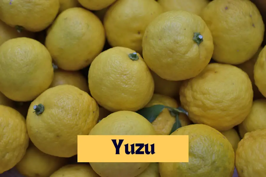 Yuzu