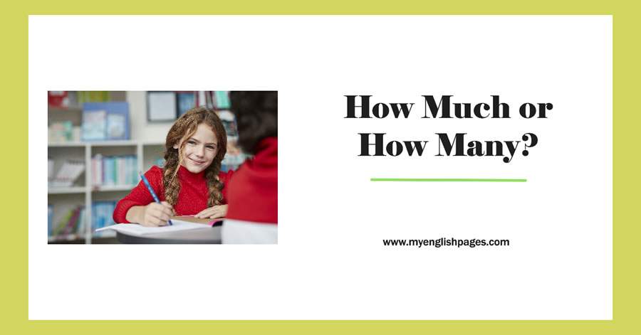 How Much or How Many Quiz