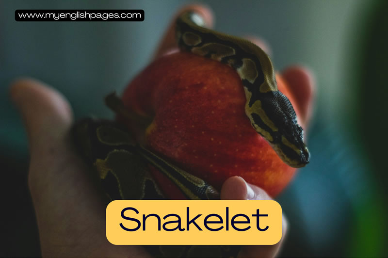 Snakelet