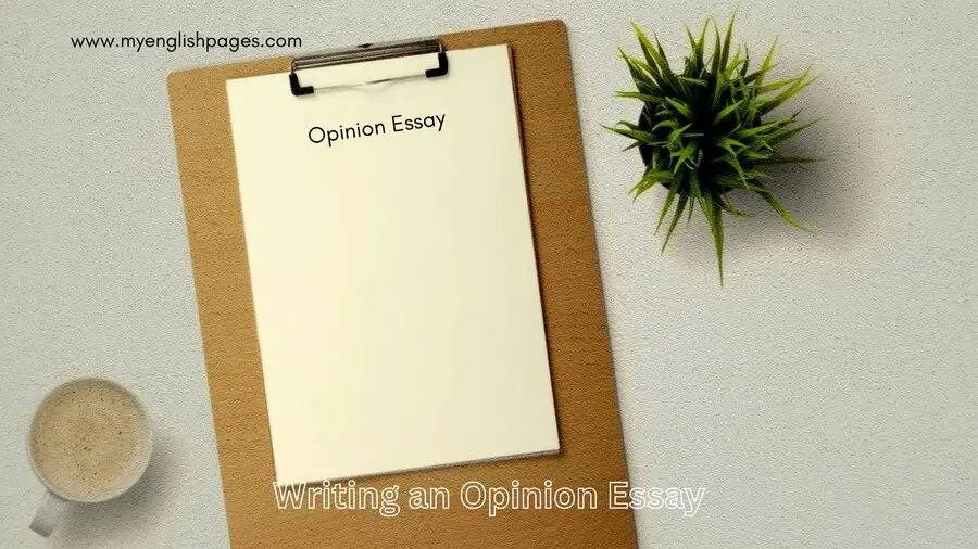 How to Write an Opinion Essay in English