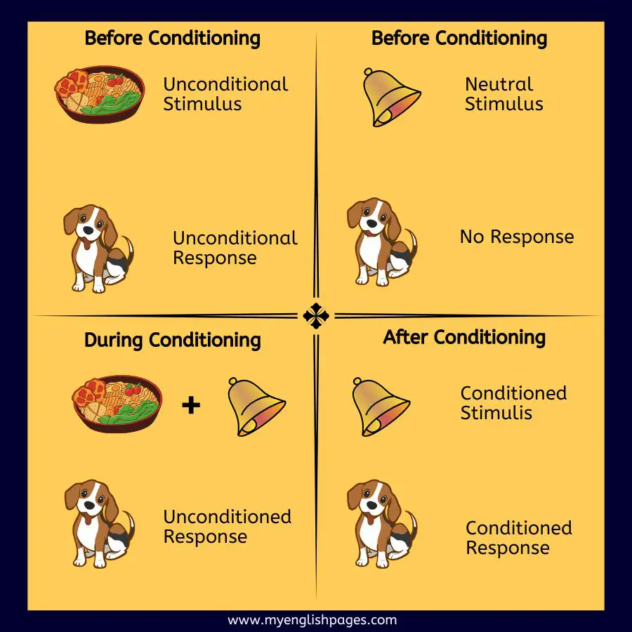 Classical Conditioning in Education