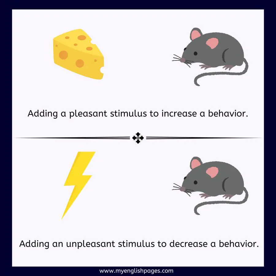 Operant Conditioning
